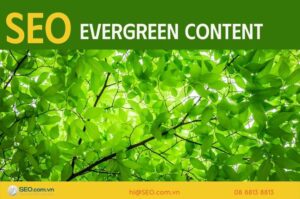 Evergreen Content toàn tập
