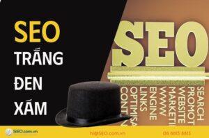 SEO mũ trắng, Mũ đen và Mũ xám