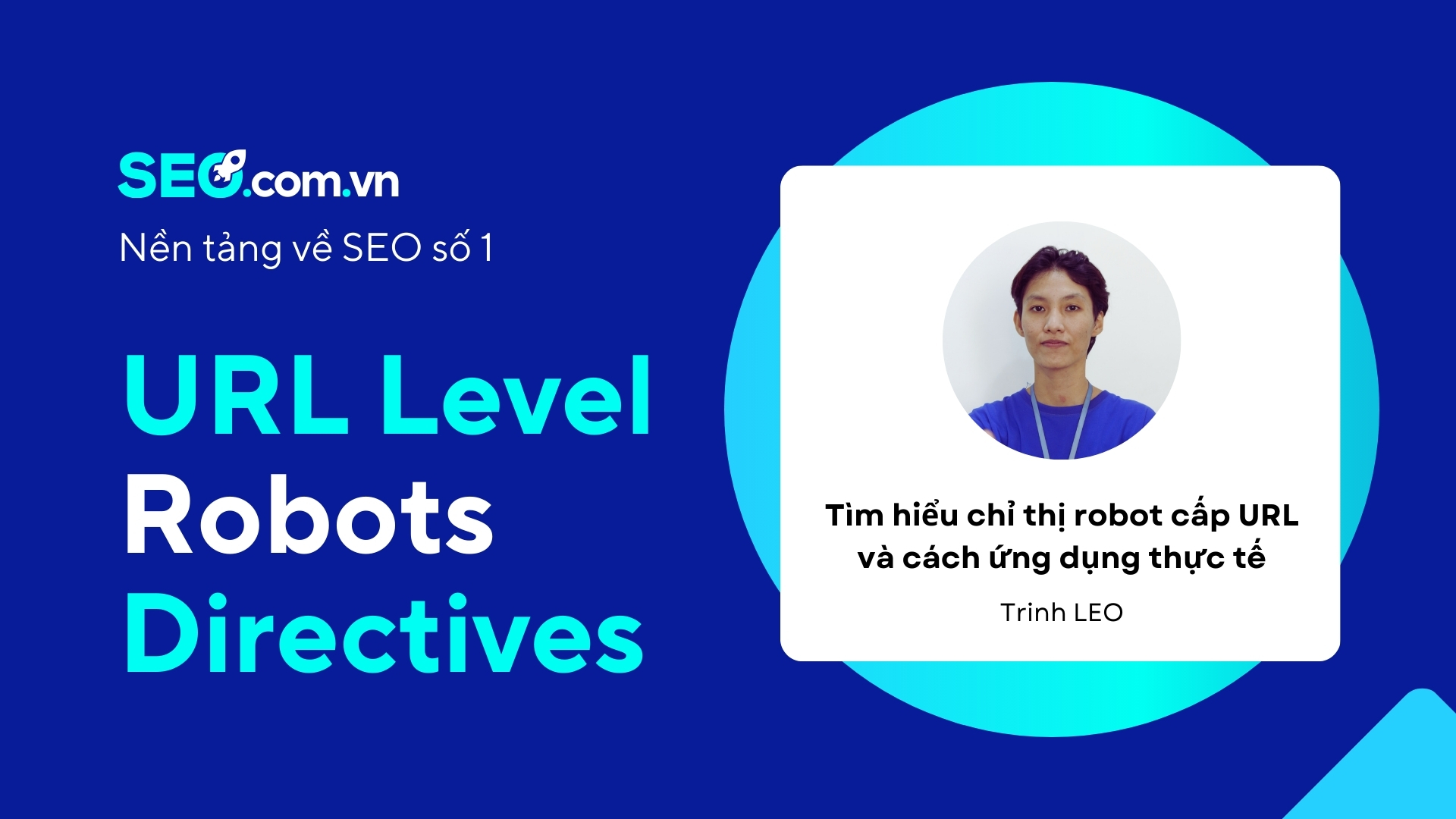 URL level Robots Directives