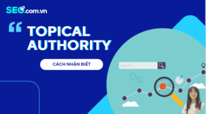 Nhận Biết Một Website Có Topical Authority