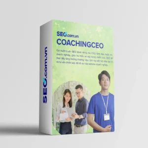 SEO-COACHINGCEO